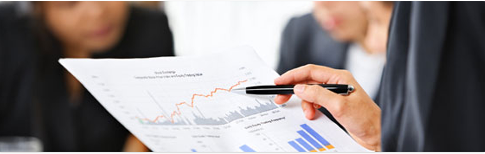 Consultoría en Servicios